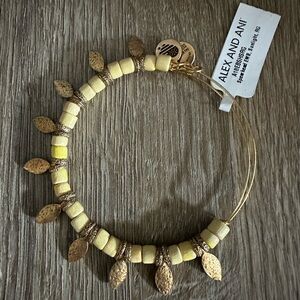 Alex and Ani Spearhead spike bracelet